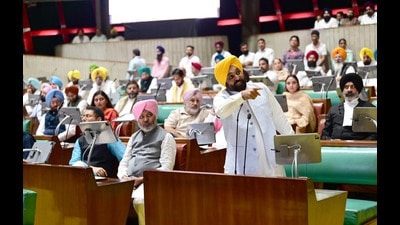 Chief minister Bhagwant Mann speaking during the special assembly session in Chandigarh on Friday. (Ravi Kumar/HT) Chief minister Bhagwant Mann speaking during the special assembly session in Chandigarh on Friday. (Ravi Kumar/HT)