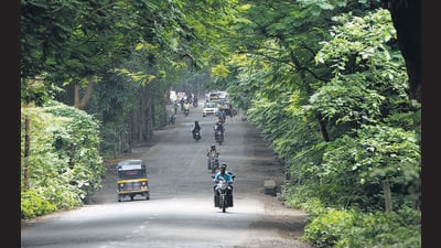 Mumbai, India - Aug. 20, 2014: BMC to take over Aarey Colony road and make it toll-free in Mumbai, India, on Wednesday, August 20, 2014. (Photo by Satish Bate/ Hindustan Times) (Hindustan Times)