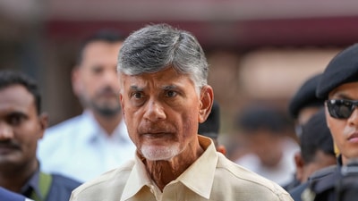 TDP chief N Chandrababu Naidu. (PTI)