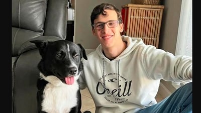 The image shows a dog named Alex and the teen whose life the pooch saved. (Instagram/@weratedogs) The image shows a dog named Alex and the teen whose life the pooch saved. (Instagram/@weratedogs)