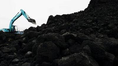 The Union coal ministry has said 40 coal blocks in the Lemru elephant reserve will not be mined. (HT file photo)