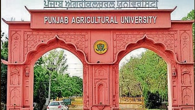 The extension mechanism of PAU is a way to fortify rural agricultural activities and present-day agriculture scenario, (ht) The extension mechanism of PAU is a way to fortify rural agricultural activities and present-day agriculture scenario, (ht)