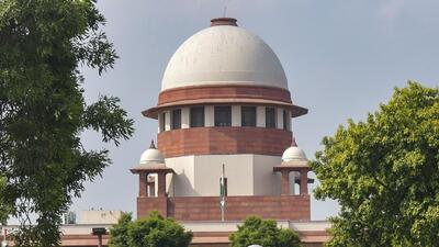 The petition pointed out that by permitting commercial activity in forests, the Act ignores the associated negative impacts on forests and wildlife (PTI) The petition pointed out that by permitting commercial activity in forests, the Act ignores the associated negative impacts on forests and wildlife (PTI)
