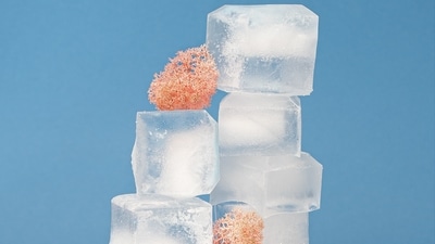 1. Comfort and inflammation reduction are achieved through cold compress application. (Unsplash) 1. Comfort and inflammation reduction are achieved through cold compress application. (Unsplash)