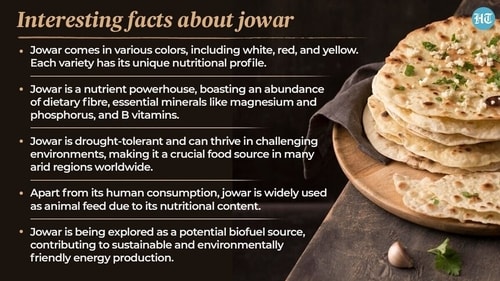 Jowar is a nutrient powerhouse, boasting an abundance of dietary fibre, essential minerals like magnesium and phosphorus, and B vitamins. Jowar is a nutrient powerhouse, boasting an abundance of dietary fibre, essential minerals like magnesium and phosphorus, and B vitamins.