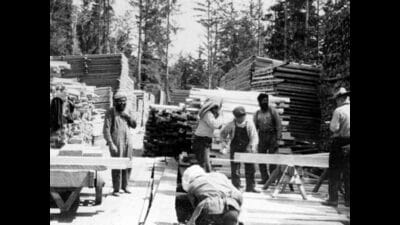 Hardworking Sikhs who went to British Columbia as lumber labourers and continue to do so till date. (Photo sourced from FB)