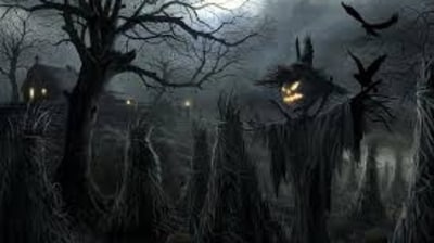 These animals are depicted as being wicked or unlucky in Halloween tales and such beliefs date back centuries. These animals are depicted as being wicked or unlucky in Halloween tales and such beliefs date back centuries.