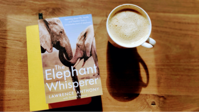 The Elephant Whisperer