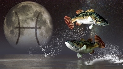 Pisces Weekly Horoscope Today, October 22-28, 2023: With the full moon illuminating your emotions, it's important to let yourself feel deeply and embrace the watery flow of your Piscean nature.