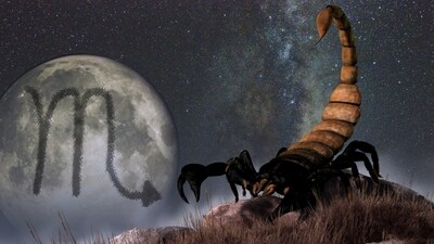 Weekly Horoscope Scorpio, October 22-28, 2023.: With the energy of the sun and Venus aligning with your sign, Scorpios will experience a burst of confidence, power and creativity this week.