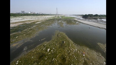 The committee inspected the slaughterhouse in August and submitted a report to the tribunal, which said untreated effluents were being dumped from the slaughtering area and were ultimately ending up in the Yamuna. (HT Archive) The committee inspected the slaughterhouse in August and submitted a report to the tribunal, which said untreated effluents were being dumped from the slaughtering area and were ultimately ending up in the Yamuna. (HT Archive)