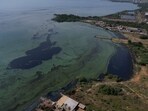 Lake Maracaibo in San Francisco, Venezuela, coated with iridescent slicks and neon green algae blooms. Lake Maracaibo in San Francisco, Venezuela, coated with iridescent slicks and neon green algae blooms.