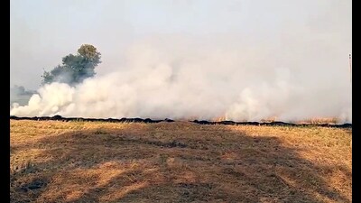 Stubble burning is seen in a field, at Rayya village, in Amritsar on Monday. (ANI)