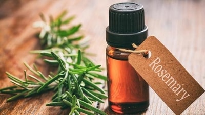 When considering utilising homemade rosemary water, Dr Stuti Khare Shukla suggested a few things to consider and said, “First, it's crucial to properly prepare and concentrate the rosemary water. A moderate infusion would have no discernible effects, whereas an intensely concentrated mixture would hurt the scalp. Also important is consistency. Any potential benefits of rosemary water might take some time to manifest, and occasional consumption could not have the desired results. It's essential to exercise patience and include it in a daily hair care routine, she continued.” (Shutterstock) When considering utilising homemade rosemary water, Dr Stuti Khare Shukla suggested a few things to consider and said, “First, it's crucial to properly prepare and concentrate the rosemary water. A moderate infusion would have no discernible effects, whereas an intensely concentrated mixture would hurt the scalp. Also important is consistency. Any potential benefits of rosemary water might take some time to manifest, and occasional consumption could not have the desired results. It's essential to exercise patience and include it in a daily hair care routine, she continued.” (Shutterstock)