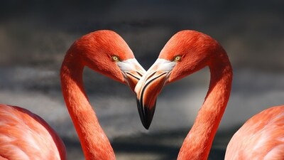 Daily Love and Relationship Horoscope 2023: Find out love predictions for October 24. Daily Love and Relationship Horoscope 2023: Find out love predictions for October 24.