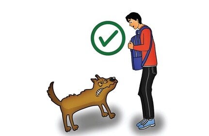 In case a dog is in attacking mode, use your bag to protect your vital organs and stand straight to appear more imposing. (Illustration: Anurag Mehra/HT) In case a dog is in attacking mode, use your bag to protect your vital organs and stand straight to appear more imposing. (Illustration: Anurag Mehra/HT)