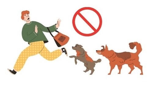 Running away from a dog will prove to be counterproductive, since it will give in to its chase instinct. (Illustration: Shutterstock) Running away from a dog will prove to be counterproductive, since it will give in to its chase instinct. (Illustration: Shutterstock)