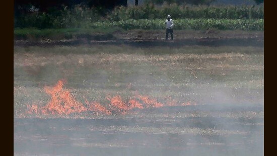 Air quality of nine Haryana cities slip to ‘poor’ category (HT Photo)