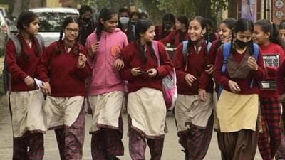 Instructors teaching Punjabi, Mathematics, and English for Classes 3 to 8 have also undergone training regarding the same. (HT File)