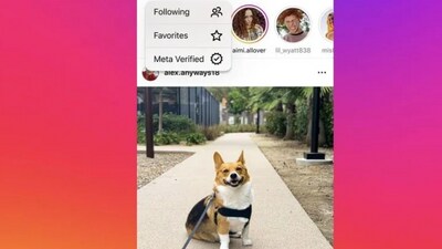 The Meta Verified toggle that is being tested on Instagram (Image courtesy: Meta) The Meta Verified toggle that is being tested on Instagram (Image courtesy: Meta)