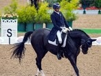 Hriday Vipul Chheda competes in the Equestrian Dressage Individual Final event at the 19th Asian Games Hriday Vipul Chheda competes in the Equestrian Dressage Individual Final event at the 19th Asian Games