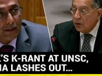 India Stings Pak At UNSC