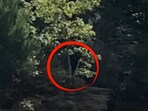 The image is taken from a video that claims shows Bigfoot. The image is taken from a video that claims shows Bigfoot.