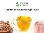 Cumin has been a valuable spice since time immemorial and finds mention in ancient text like Charak Samhita and Bible Cumin has been a valuable spice since time immemorial and finds mention in ancient text like Charak Samhita and Bible