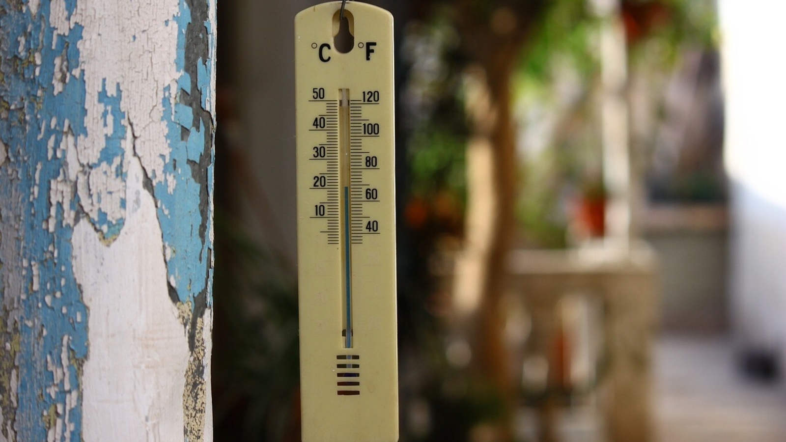 Bengaluru witnesses coldest October morning | Bengaluru - Vimarsana News