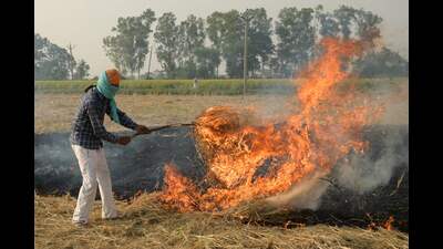 Of the total cases almost 30% (834) have been reported from Amritsar alone followed by Patiala (325) and Tarn Taran (319). (AFP file) Of the total cases almost 30% (834) have been reported from Amritsar alone followed by Patiala (325) and Tarn Taran (319). (AFP file)