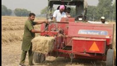The Sangrur administration has decided to give privilege to those farmers, who will not burn paddy stubble in the current harvest season. (File)