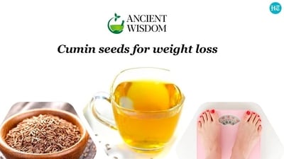Cumin has been a valuable spice since time immemorial and finds mention in ancient text like Charak Samhita and Bible Cumin has been a valuable spice since time immemorial and finds mention in ancient text like Charak Samhita and Bible