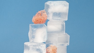 Talking about the benefits of ice facials, Dr Madhu Chopra, MBBS, DORL, Cosmetologist and Managing Director of Studio Aesthetique in Mumbai. said, “The benefits of ice water facials are 1. Pore-tightening:&nbsp;The ice water's chilly temperature forces your skin's blood vessels to contract, which can momentarily lessen the appearance of enlarged pores. Your skin may have a softer, more refined texture as a result. 2. Improved circulation: The ice water's cool feeling helps increase blood flow to the face, which can help to create a glowing complexion. By lowering redness and irritation, it may also aid in the treatment of skin diseases like acne.”&nbsp; (Unsplash)