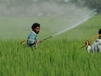The timely availability of subsidised crop nutrients is critical to the country’s food security. (HT File/Representational image) The timely availability of subsidised crop nutrients is critical to the country’s food security. (HT File/Representational image)