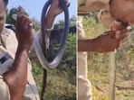 The image shows a cop giving mouth-to-mouth resuscitation to a snake. The image shows a cop giving mouth-to-mouth resuscitation to a snake.