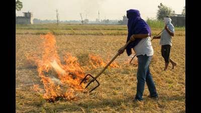 Farmers burn stubble after harvest on the outskirts of Amritsar on Thursday. (AFP) Farmers burn stubble after harvest on the outskirts of Amritsar on Thursday. (AFP)