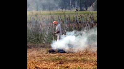 Haryana’s air quality improves, AQI of NCR cities remain ‘poor’