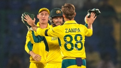 Australia's bowler Adam Zampa celebrates with teammate Josh Inglis after taking the wicket of Netherlands' batter Roelof van der Merwe during the ICC Men's Cricket World Cup 2023 match (PTI) Australia's bowler Adam Zampa celebrates with teammate Josh Inglis after taking the wicket of Netherlands' batter Roelof van der Merwe during the ICC Men's Cricket World Cup 2023 match (PTI)
