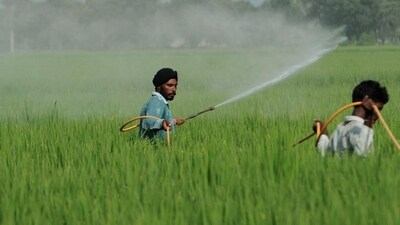The timely availability of subsidised crop nutrients is critical to the country’s food security. (HT File/Representational image) The timely availability of subsidised crop nutrients is critical to the country’s food security. (HT File/Representational image)