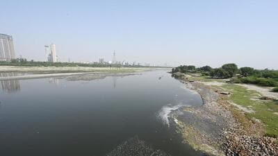 The NGT had reprimanded the MCD for violations at the Ghazipur abbatoir as polluting effluents end up in the Yamuna. (HT Photo) The NGT had reprimanded the MCD for violations at the Ghazipur abbatoir as polluting effluents end up in the Yamuna. (HT Photo)