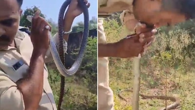 The image shows a cop giving mouth-to-mouth resuscitation to a snake. (Screengrab) The image shows a cop giving mouth-to-mouth resuscitation to a snake. (Screengrab)