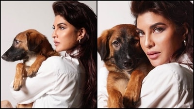 Jacqueline's pictures with the doggo quickly went viral on social media, garnering more than 200k likes and several comments from fans who can't stop gushing about her look. Jacqueline's pictures with the doggo quickly went viral on social media, garnering more than 200k likes and several comments from fans who can't stop gushing about her look.