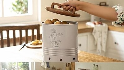 Amazon Sale: Make the most of discounts being offered on storage boxes. Amazon Sale: Make the most of discounts being offered on storage boxes.