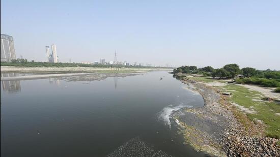 The NGT had reprimanded the MCD for violations at the Ghazipur abbatoir as polluting effluents end up in the Yamuna. (HT Photo)