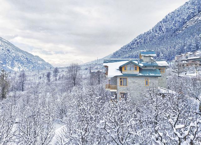 Trä, a homestay in Manali, ensures that they make their own ghee, dahi and paneer year-round, provide refillable toiletries and grow tomatoes, cabbages and herbs in their kitchen garden.