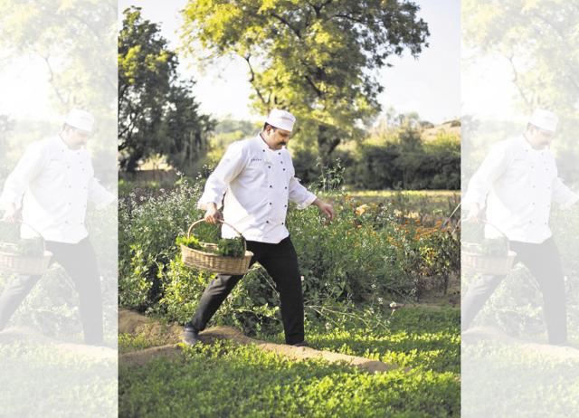 Sujan Sher Bagh has it’s own organic garden, where they grow seasonal produce. (instagram/@thesujanlife)