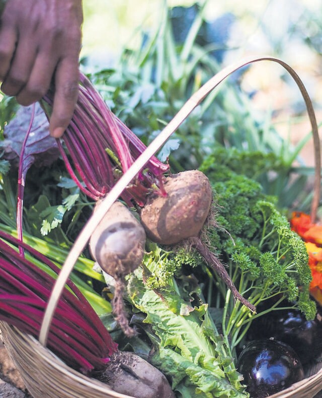 Sujan Sher Bagh also offer cooking classes so guests can learn more about the herbs and spices being grown and used. (instagram/@thesujanlife)