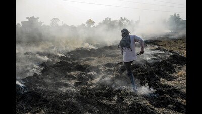 A farmer burns paddy stubble at a field, on the outskirts of Jalandhar on Friday. (PTI) A farmer burns paddy stubble at a field, on the outskirts of Jalandhar on Friday. (PTI)