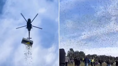 The image is taken from the video shared by a Czech influencer. (Instagram/@kazma_kazmitch)
