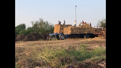 Farmers collecting bales from a field (HT photo) Farmers collecting bales from a field (HT photo)